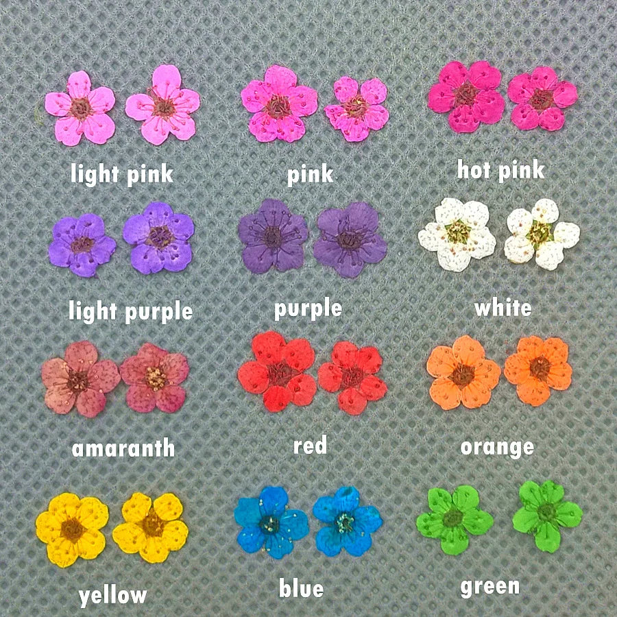 24pieces 0.6-1cm little Narcissus Natural Dried Flowers Pressed Herbarium Flower Decorative Crafts glass globe filler findings