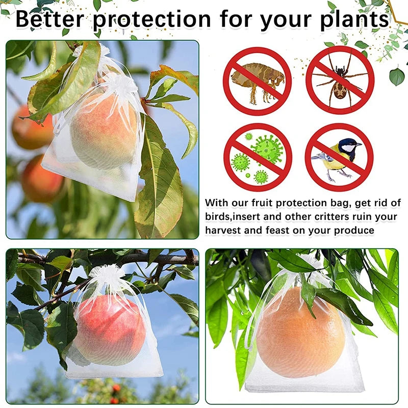 10Pcs Fruits Insect Proof Bags Strawberry Grapes Grow Bags Anti-bird Netting Fruit Vegetable Protection Bag Orchard Pest Control