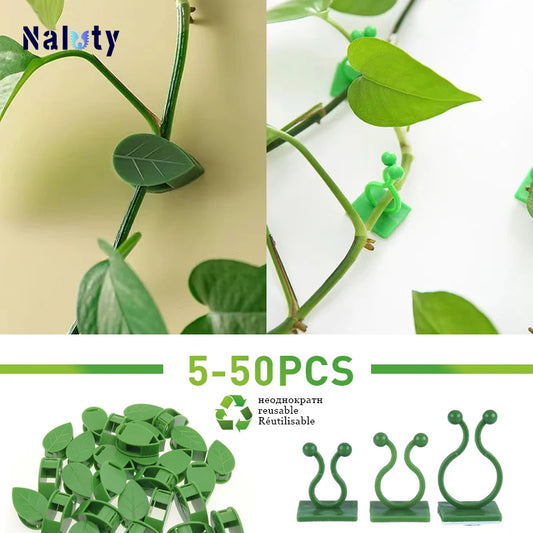 5-50Pcs Plant Climbing Wall Fixture Clips Rattan Clamp Fixator Self-Adhesive Vine Buckle Hook Invisible Vine Binding Clip