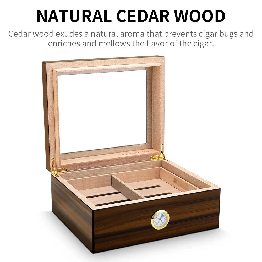 Professional Cases Cigar Humidor for Cigars Box Cigar Travel Humidors Accessories Tenbox Portable Humidifier Lighters Smoking