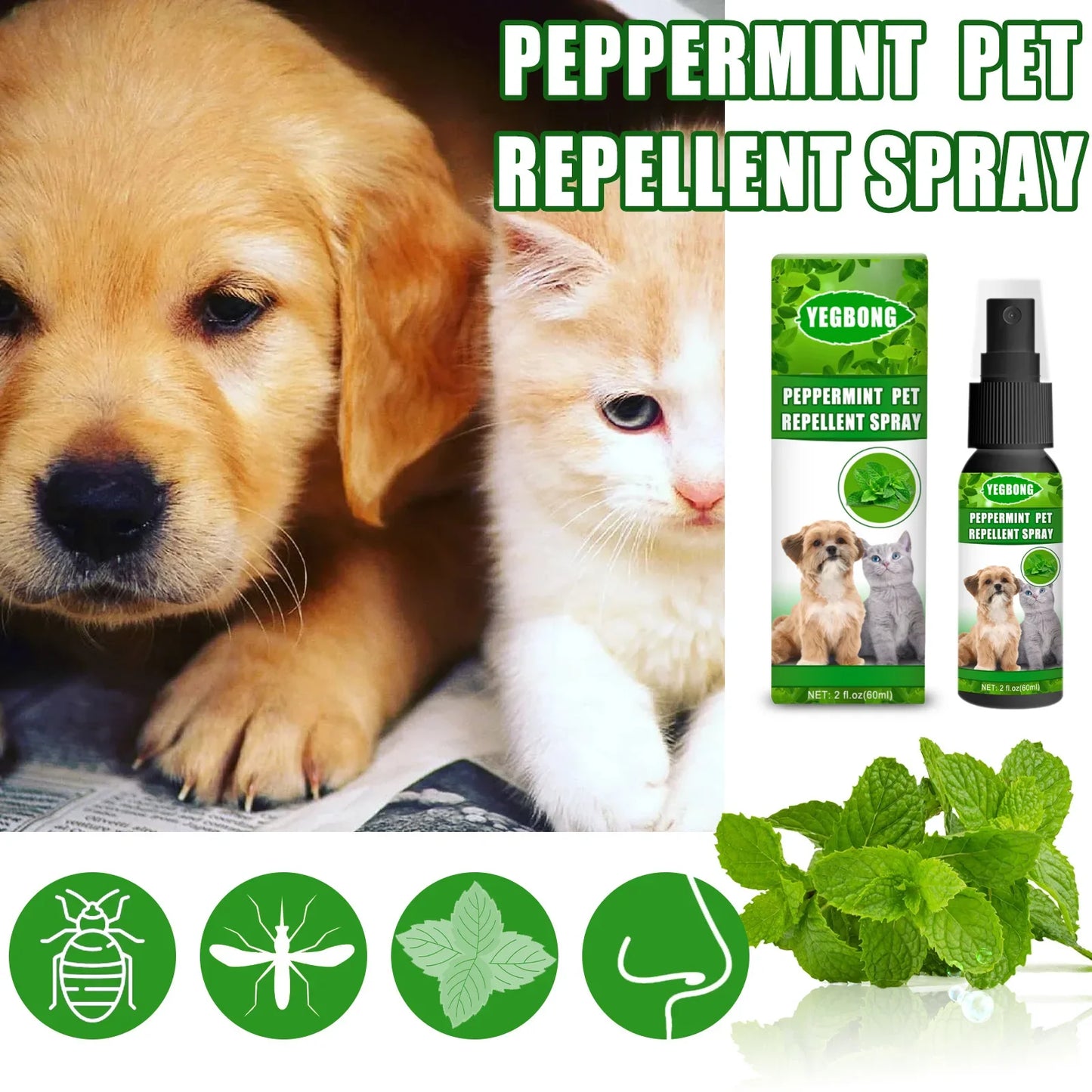 Pet Mite Spray Flea Ticks Control Relieve Puppy Itching Cat Bad Odors Stain Removal Lice Insect Treatment Dog Flea Killer Spray