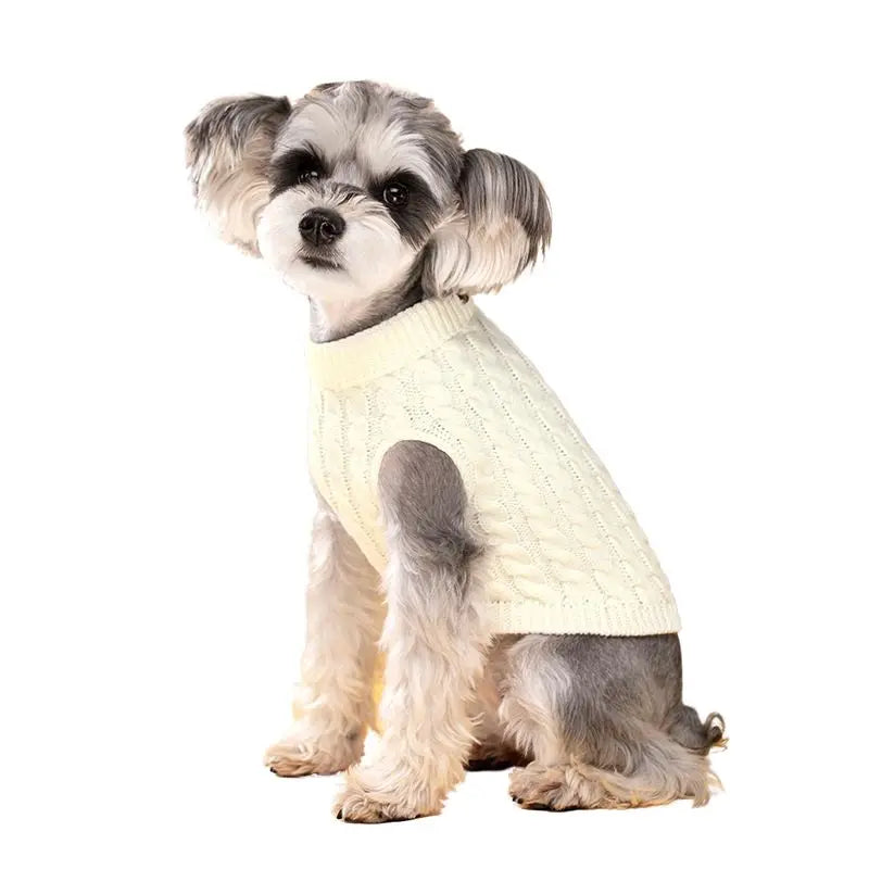 Warm Dog Sweater For Small Medium Dogs Cats Soft Cozy Puppy Clothes Turtleneck Schnauzer Chihuahua Yorkies Coat Pet Costume