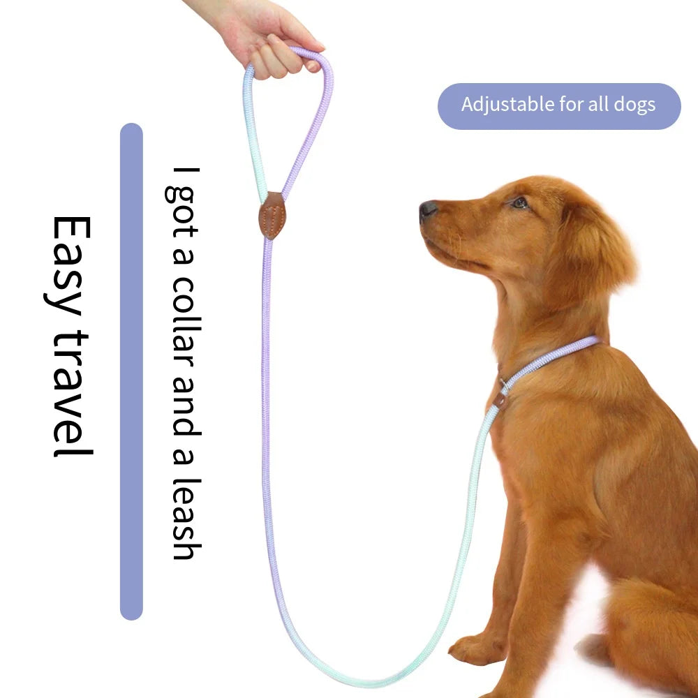 Nylon Leashes Pet Dogs Chain Traction Rope Leads for Running Dog Walking Free Hands Rope Chain for Small Large Dogs