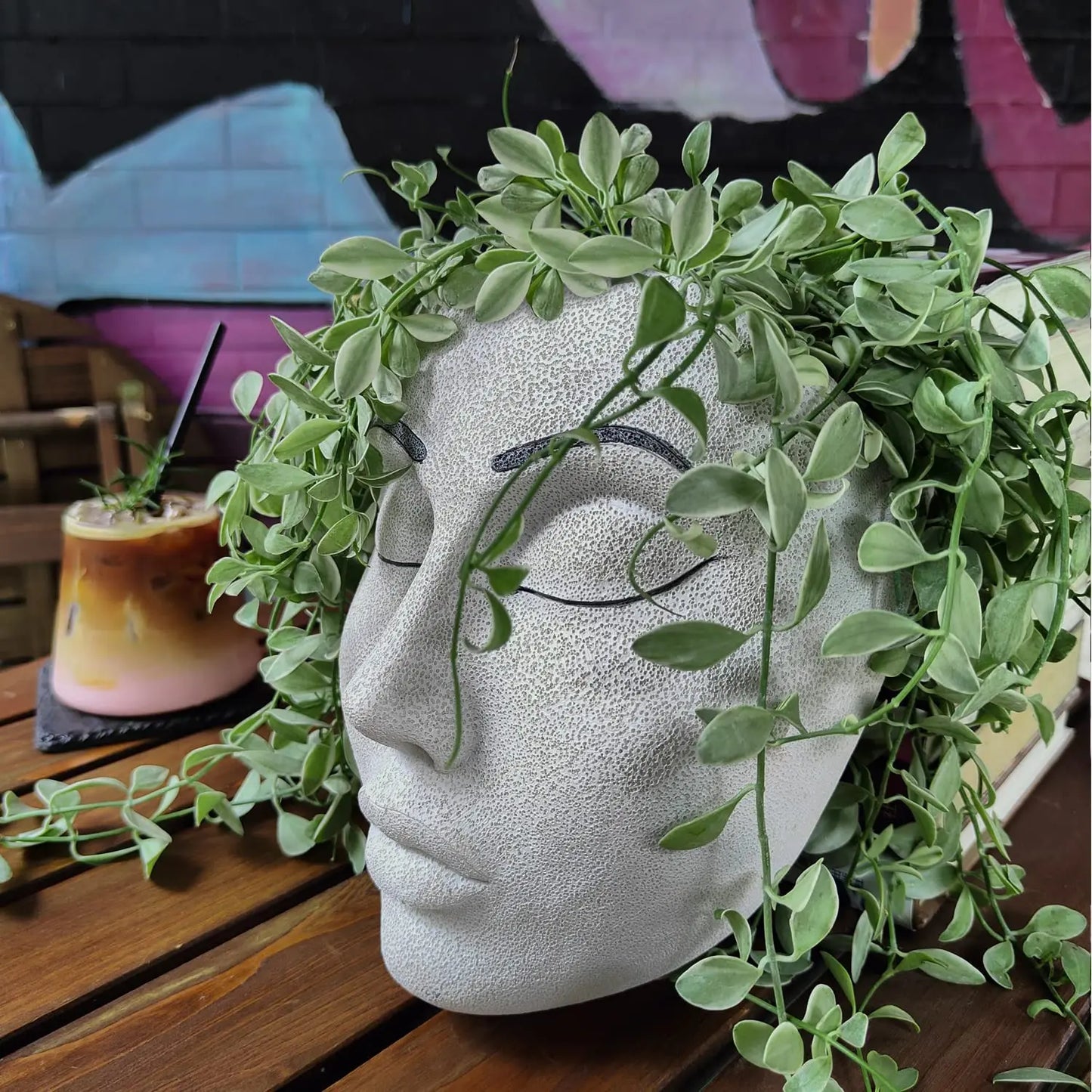 Resin Wall Mounted Planter Head Planter Succulent Plant Face Planter Pot