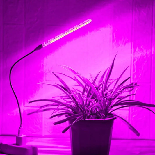 USB 5V LED Growth Lamp Full Plant Growth Light Indoor Plant Lamp Flower Seedling Greenhouse Fitolampy