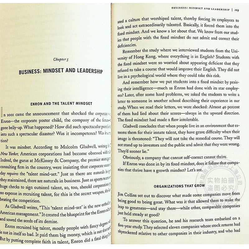 Mindset The New Psychology Of Success English Book by Carol S. Dweck Foreign Literature Inspirational Book