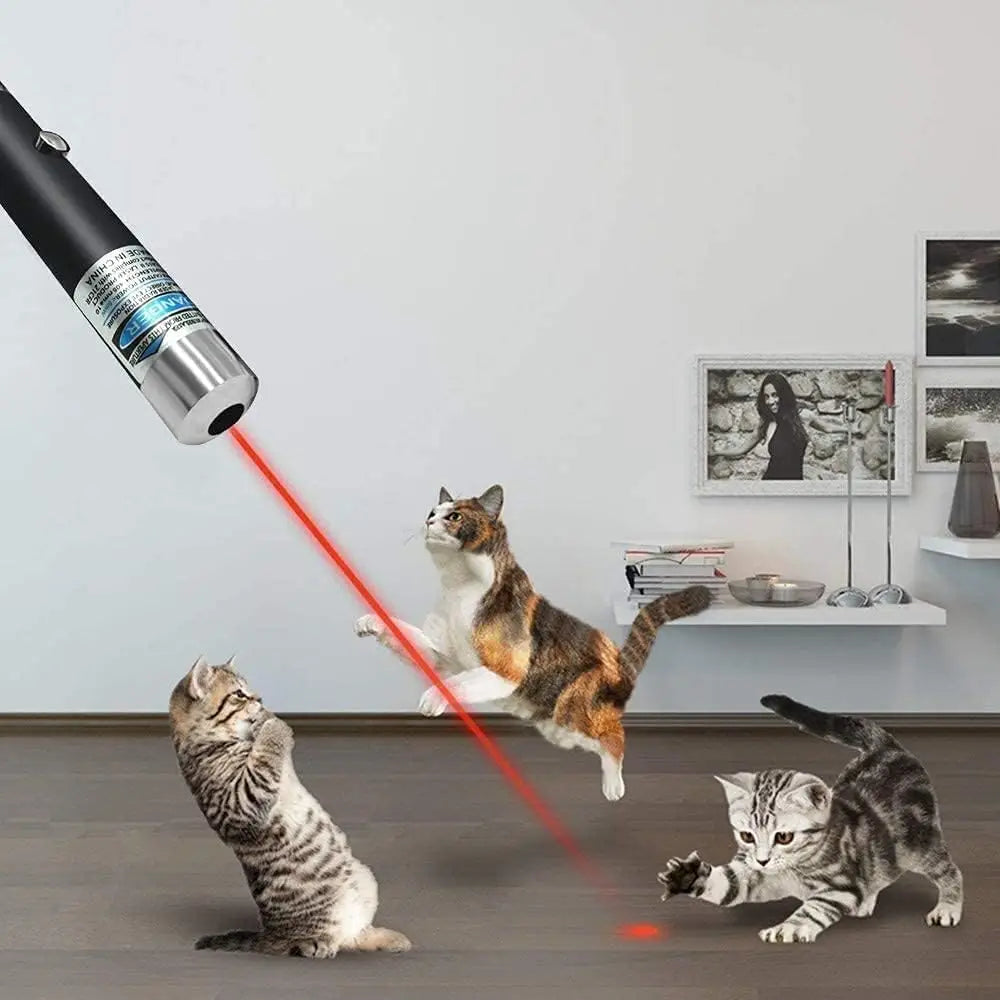 Laser Pointer 4mw High Pointer Laser Meter Pet Cat Toy Light Sight Cat Toy Torch Office Lnteractive Laser Pen