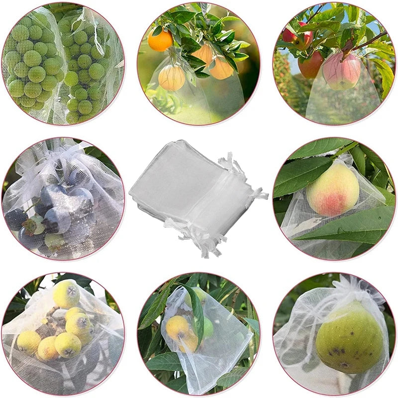 10Pcs Fruits Insect Proof Bags Strawberry Grapes Grow Bags Anti-bird Netting Fruit Vegetable Protection Bag Orchard Pest Control