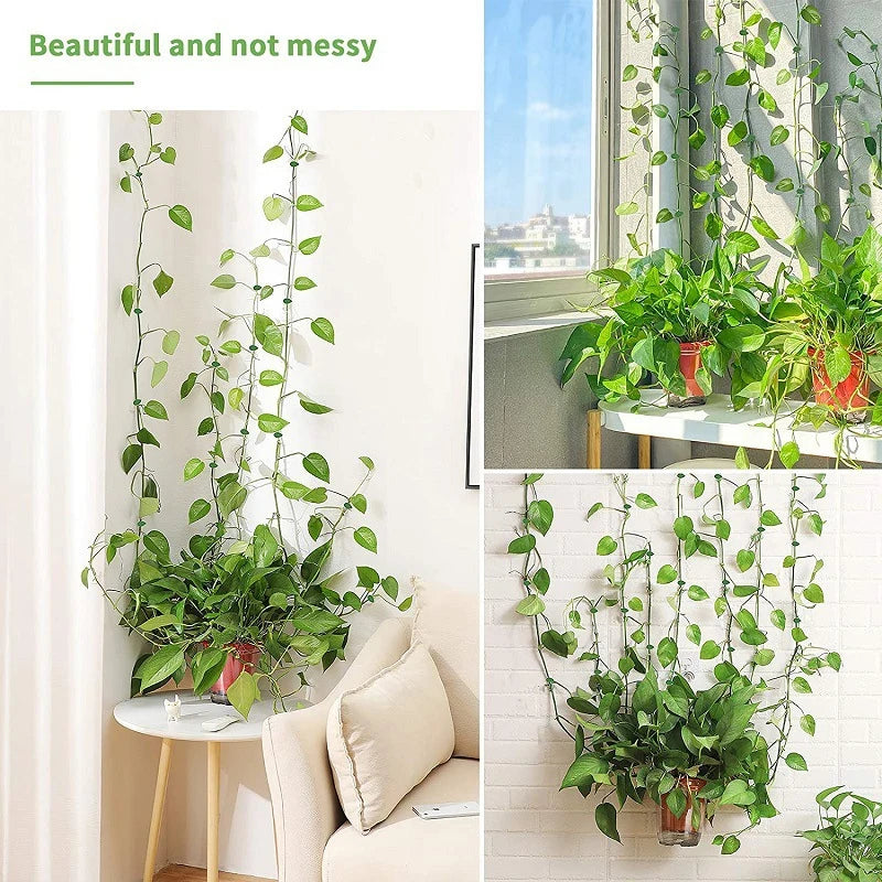 5-50Pcs Plant Climbing Wall Fixture Clips Rattan Clamp Fixator Self-Adhesive Vine Buckle Hook Invisible Vine Binding Clip