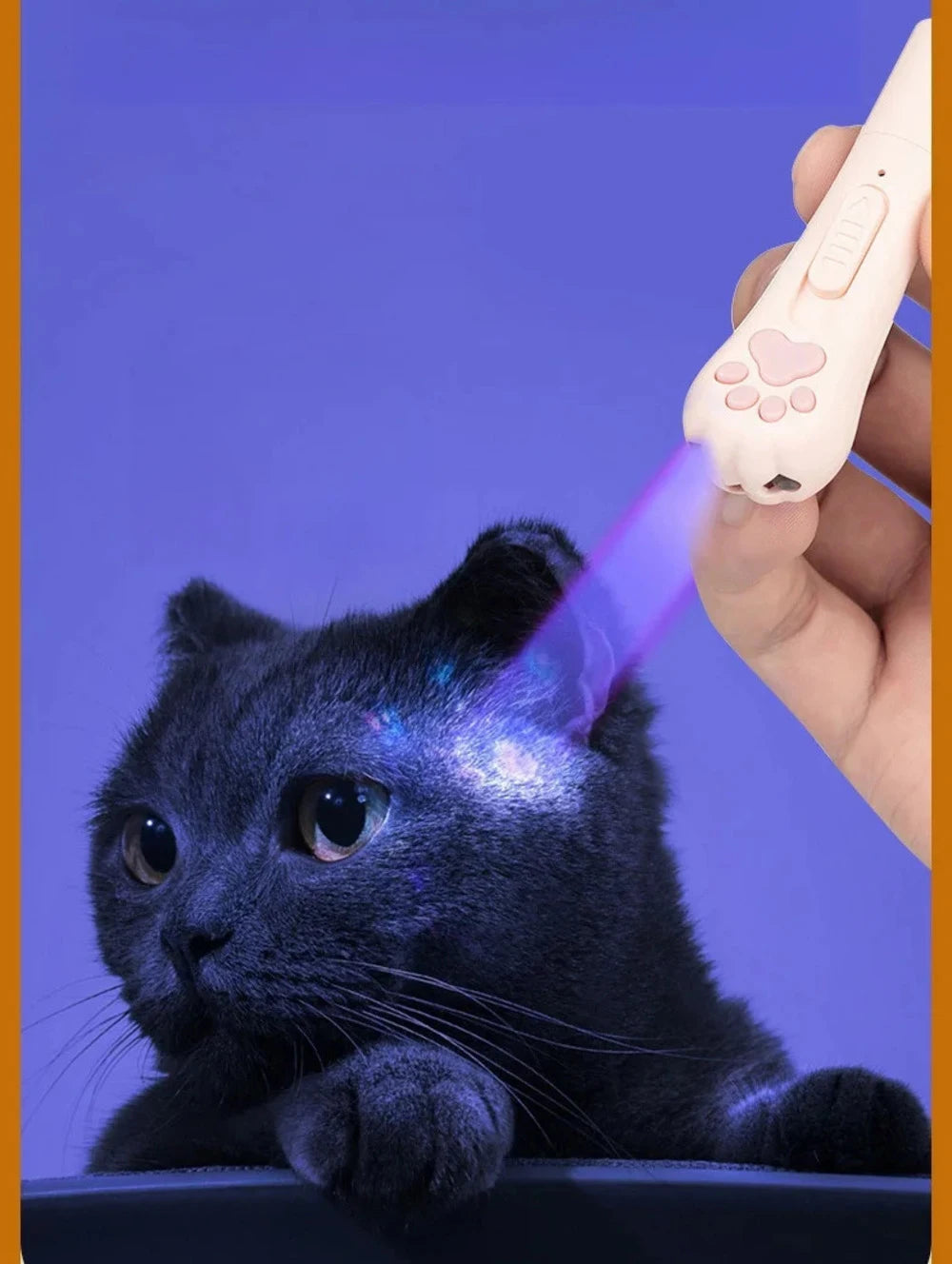 Laser Cat Teaser with Keychain USB Charging Pet Projector Pen Interactive Training Toy Pet Supplies