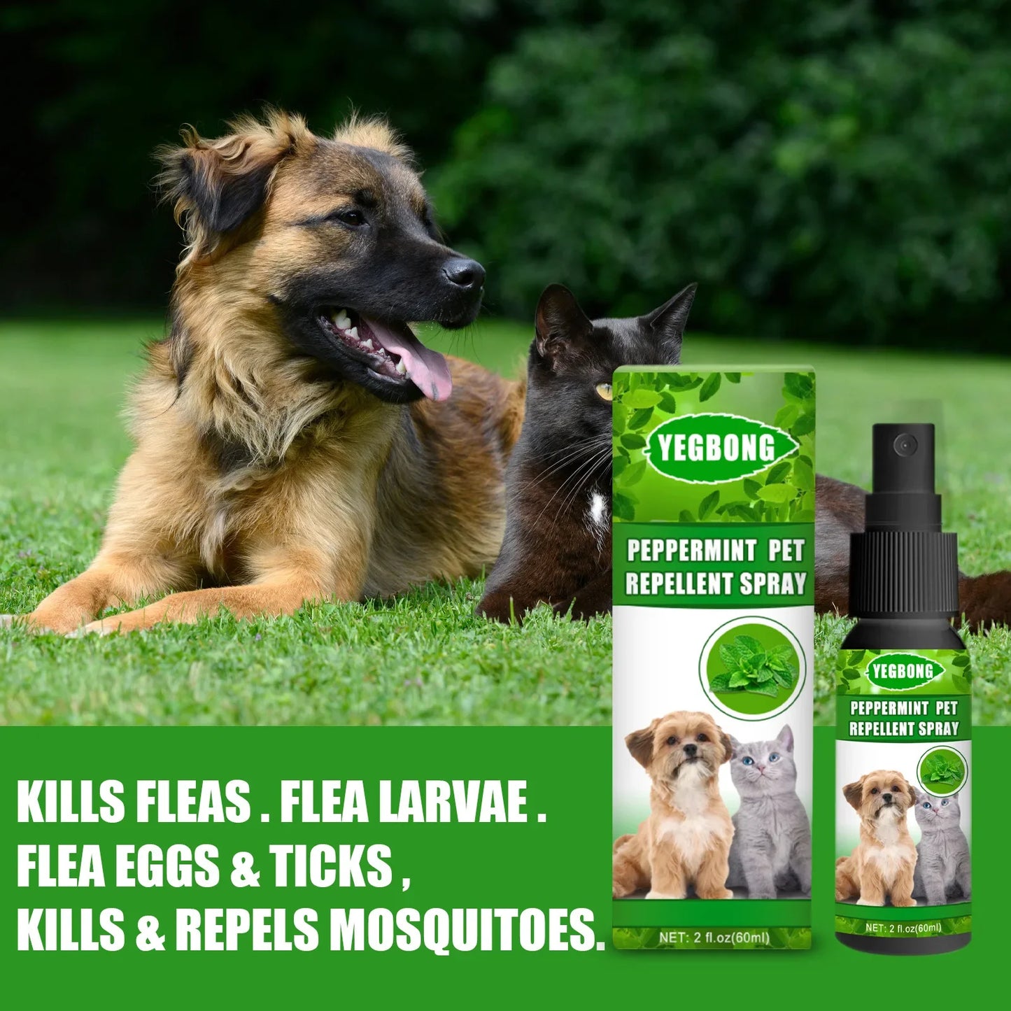 Pet Mite Spray Flea Ticks Control Relieve Puppy Itching Cat Bad Odors Stain Removal Lice Insect Treatment Dog Flea Killer Spray