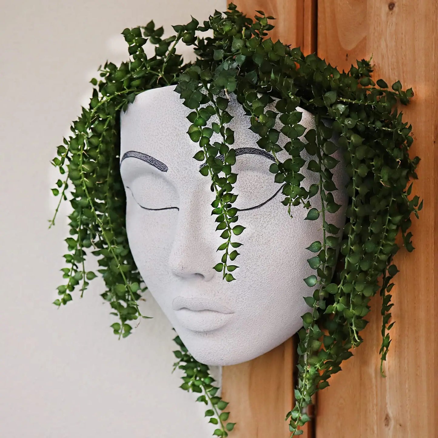 Resin Wall Mounted Planter Head Planter Succulent Plant Face Planter Pot