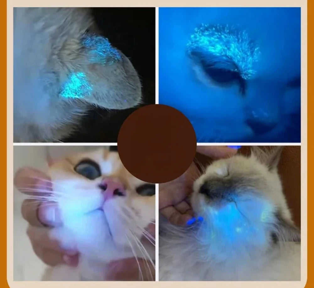 Laser Cat Teaser with Keychain USB Charging Pet Projector Pen Interactive Training Toy Pet Supplies