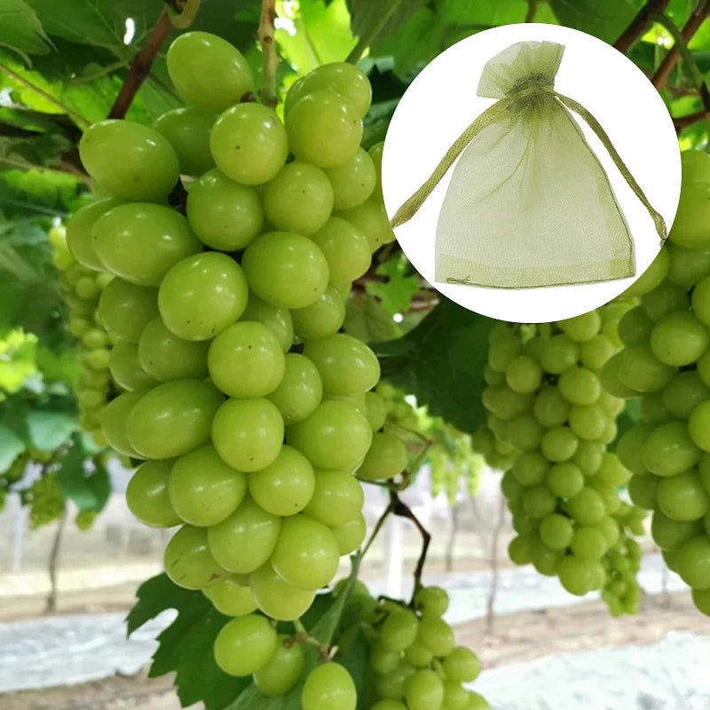 10Pcs Fruits Insect Proof Bags Strawberry Grapes Grow Bags Anti-bird Netting Fruit Vegetable Protection Bag Orchard Pest Control