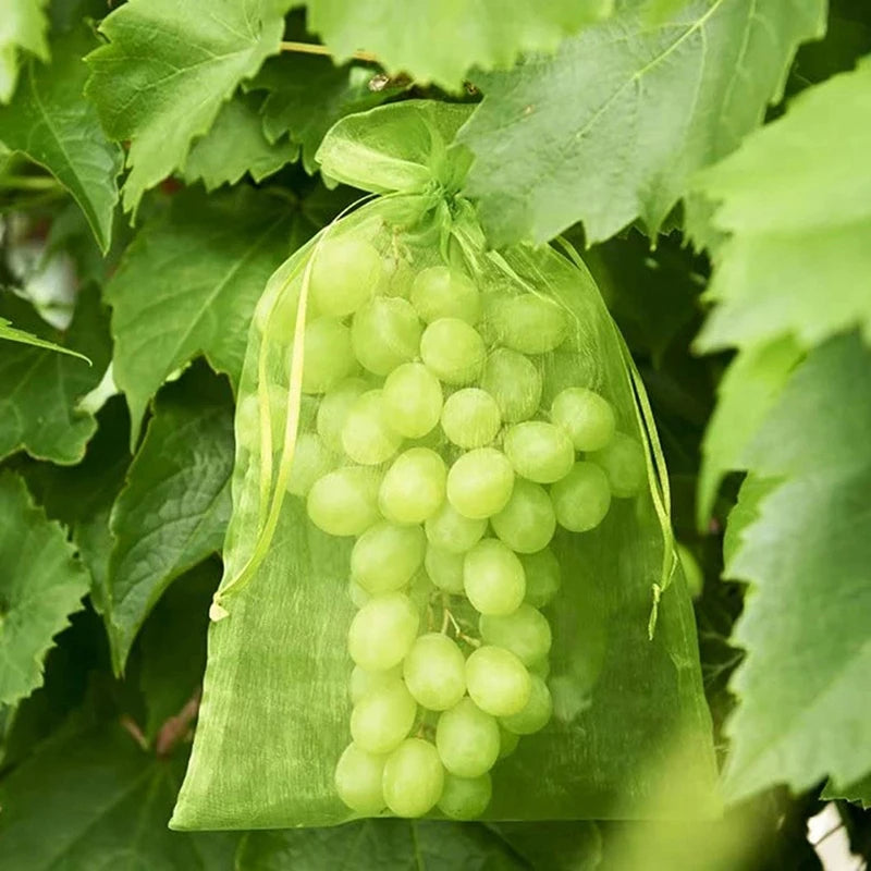 10Pcs Fruits Insect Proof Bags Strawberry Grapes Grow Bags Anti-bird Netting Fruit Vegetable Protection Bag Orchard Pest Control