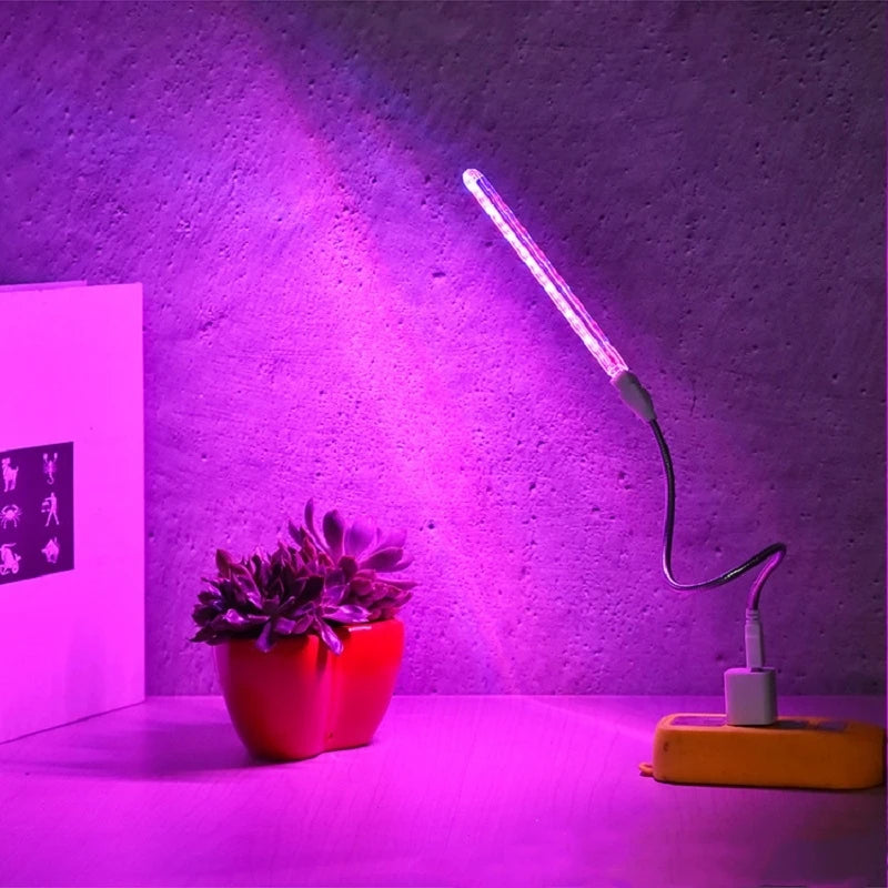 USB 5V LED Growth Lamp Full Plant Growth Light Indoor Plant Lamp Flower Seedling Greenhouse Fitolampy