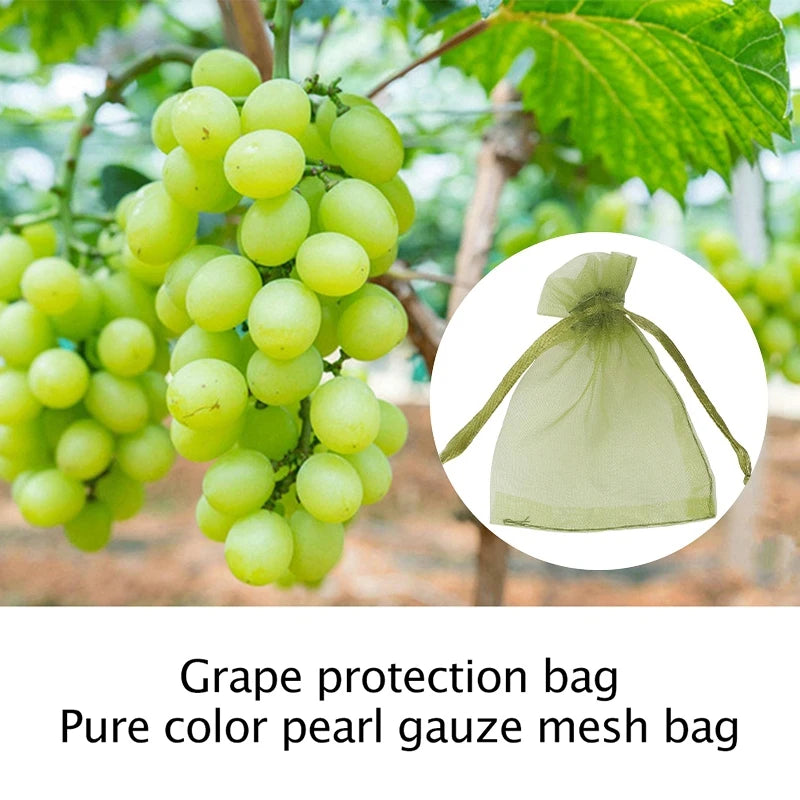 10Pcs Fruits Insect Proof Bags Strawberry Grapes Grow Bags Anti-bird Netting Fruit Vegetable Protection Bag Orchard Pest Control