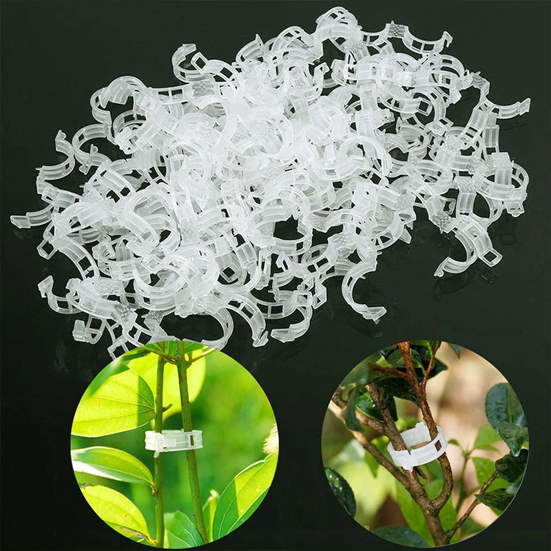 Plant Clips Supports Reusable Plastic Connects Fixing Vine Tomato Stem Grafting Vegetable Plants Orchard and Garden Tools