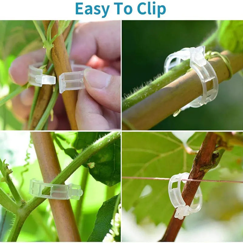 Plant Clips Supports Reusable Plastic Connects Fixing Vine Tomato Stem Grafting Vegetable Plants Orchard and Garden Tools