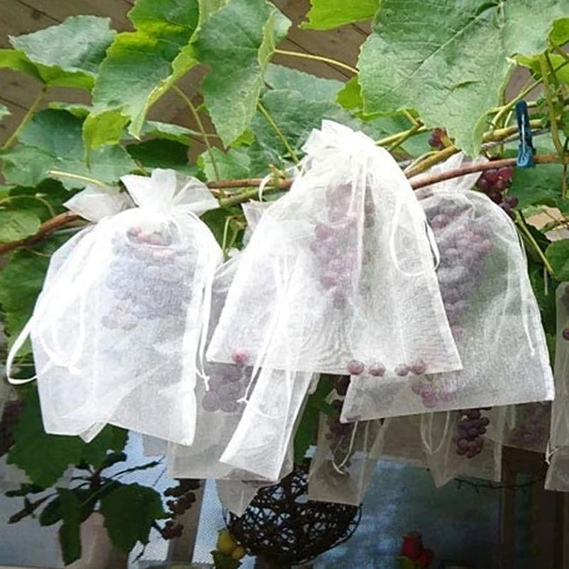 10Pcs Fruits Insect Proof Bags Strawberry Grapes Grow Bags Anti-bird Netting Fruit Vegetable Protection Bag Orchard Pest Control