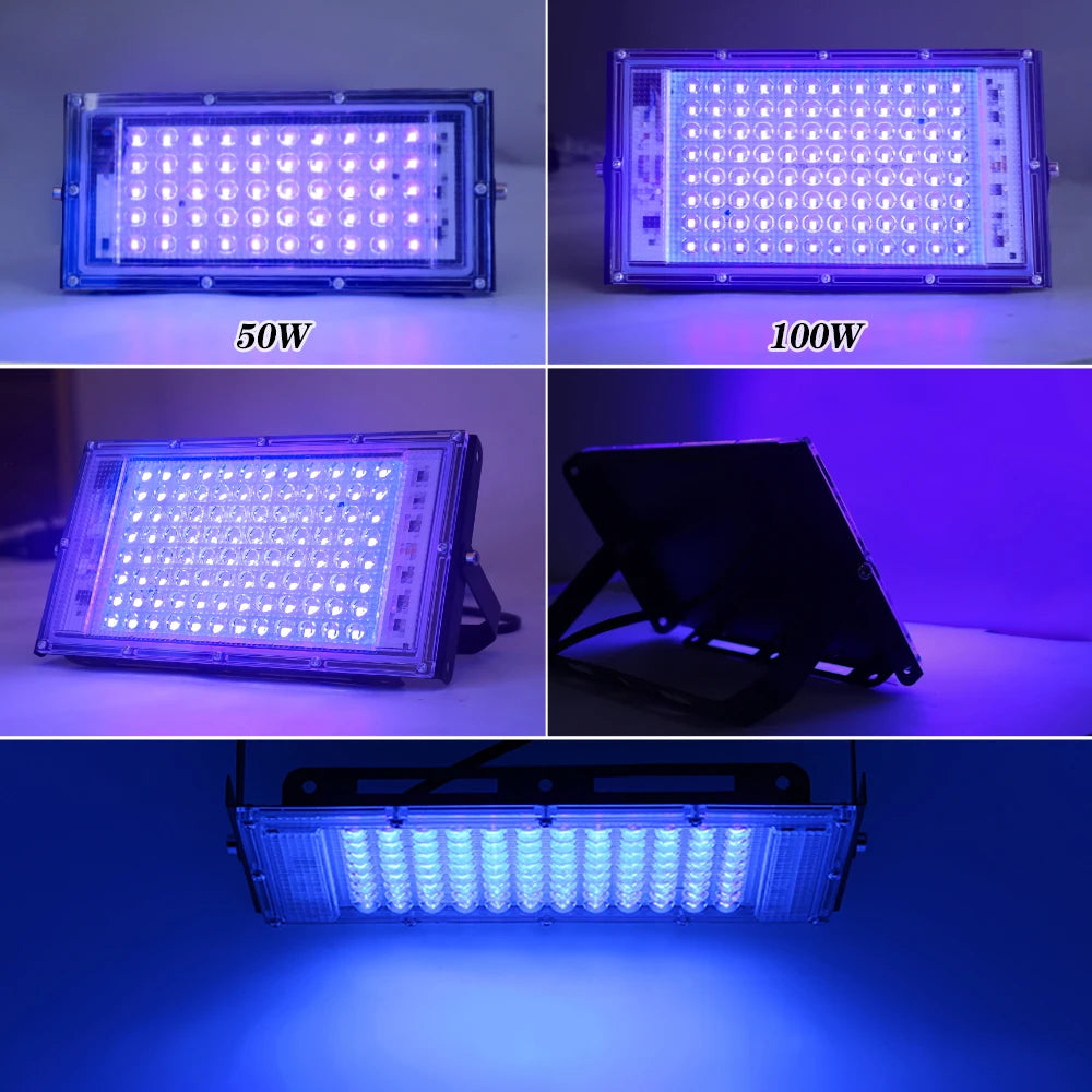 UV Flood Light 50W 100W AC220V 395nm 400nm Ultraviolet Fluorescent Stage Lamp With EU Plug For Bar Dance Party Blacklight